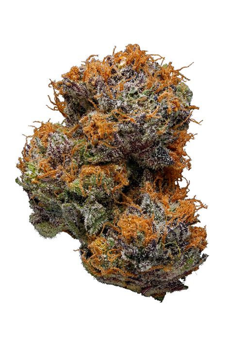 G 13 Purple Haze Weed Strain Cannabis Pharm Uk