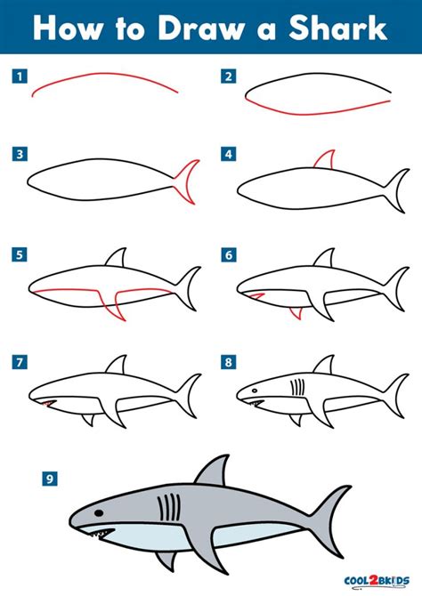 How To Draw A Shark Cool2bkids