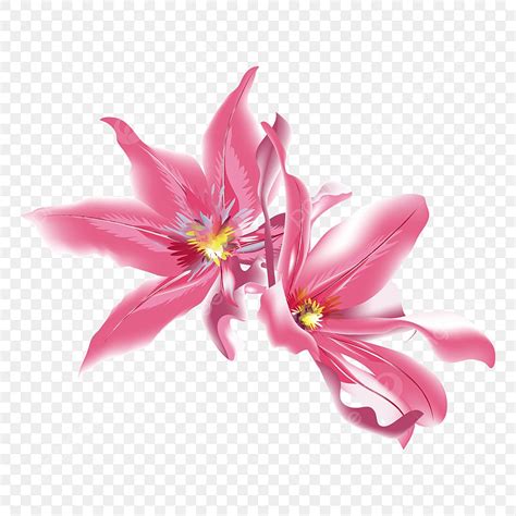 Gambar Bunga Azalea Merah Muda Rhododendron Bunga Bunga Merah Muda