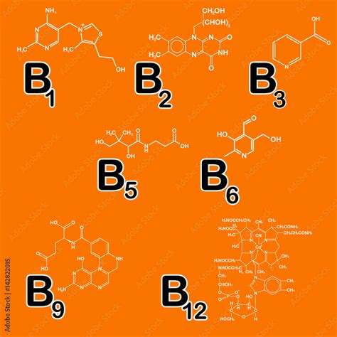 Vitamins Group B Set Healthy Life Concept Vitamin B1 B2 B3 B5 B6
