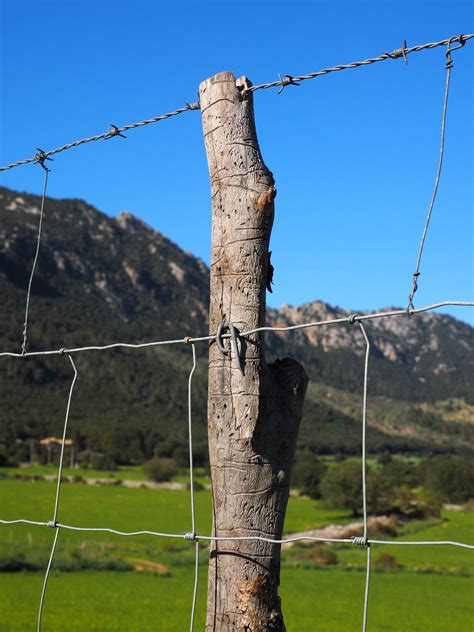 Free Images Tree Grass Post Wind Thorn Pile Mast Metal