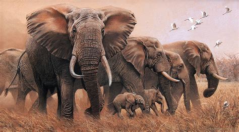 Elephants Paintings