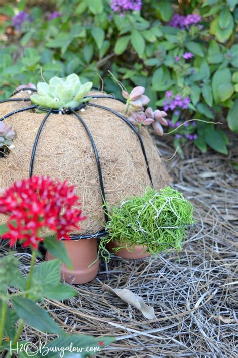 As with anything in life, practice makes perfect! How to Make a DIY Turtle Topiary - H20Bungalow