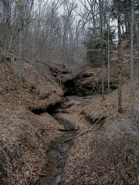Picture Of Stream Valley At Turkey Run State Park In Indiana