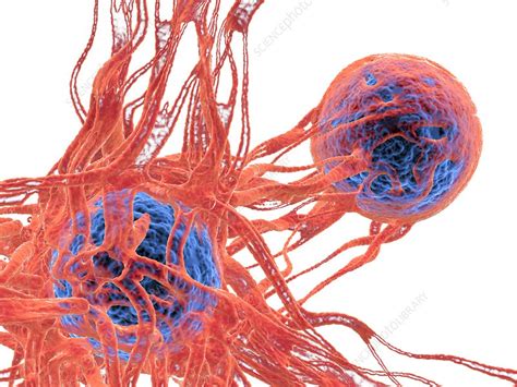 Cancer Cell Illustration Stock Image F0193122 Science Photo Library