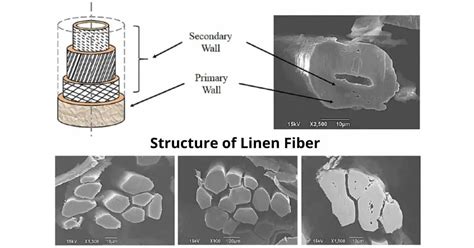 What Is Linen Fiber 7 Best Fiber Details Textile Details