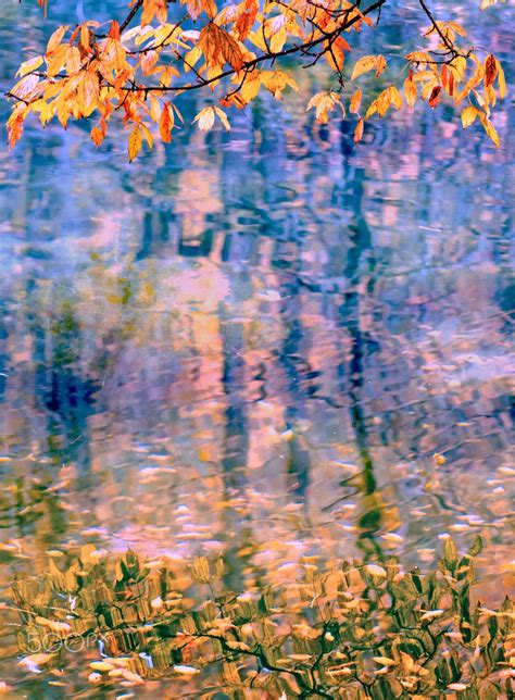 Autumn Reflection Null Art Photography Abstract Artwork Landscape