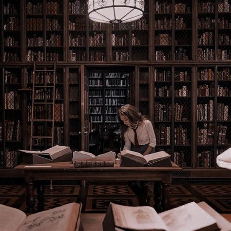 Dark Academia Library Aesthetic Aesthetic Darkacademia Book Dark