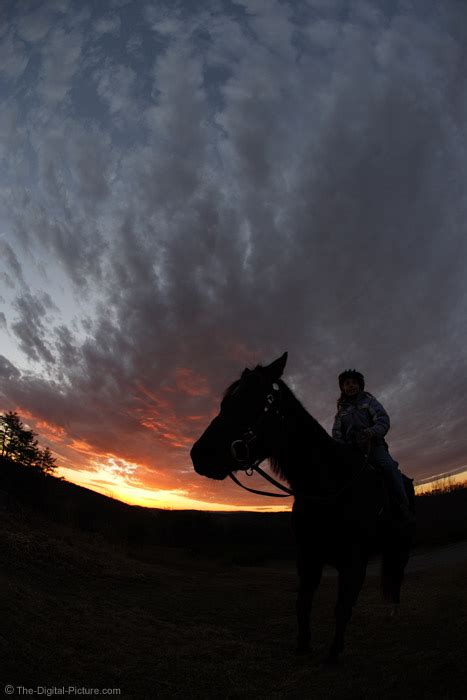 Riding At Sunset Picture