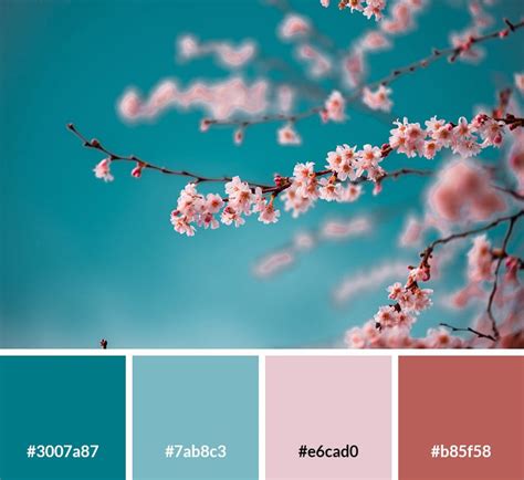 17 Spring Color Palettes With Hex Codes For Your Designs