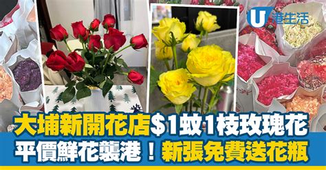 平價鮮花襲港！大埔新開花店1蚊枝玫瑰花 免費送花瓶吸客 Uhk 港生活