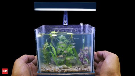 The Worlds Smallest Plant Aquarium Youtube