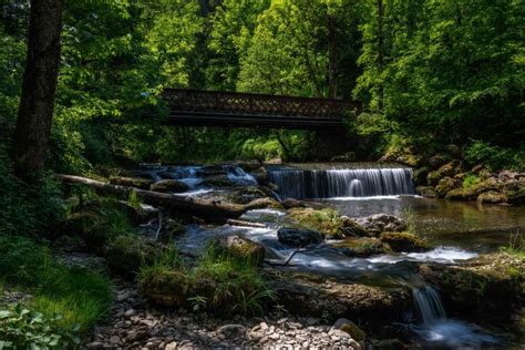 4k 5k 6k Germany Forests Rivers Waterfalls Bridges Stones