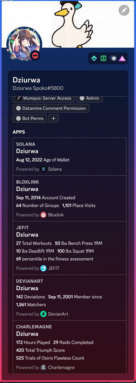 Apps On Discord Profile Rdiscordapp