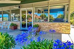 Notary For All Discover The Inclusive Notary Services Offered By The Ups Store