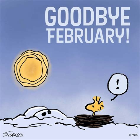 Goodbye February Charlie Brown Quotes Charlie Brown And Snoopy