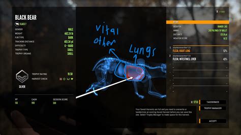 Thehunter Call Of The Wild™ Gameplay Basics Full Guide Steam Lists