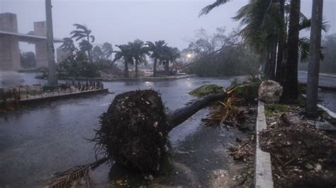 Hurricane Delta Makes Landfall In Mexico Toppling Trees