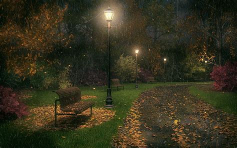 Night In The Park Rainy Day Wallpaper Background Photo