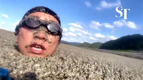 This Okinawa Beach Is Filled With Volcanic Pumice Stones Youtube