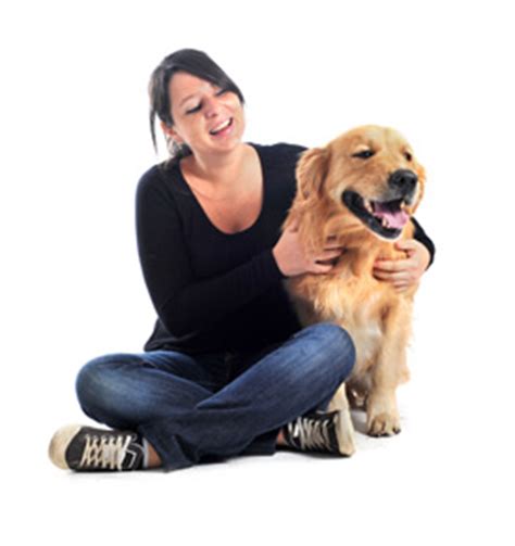 Dfw pet sitting is the only truly professionally run pet service that i have found in the dallas she gets to play with natalia, from dfw pet sitting service! Oak Park Pet Sitting Services | Out-U-Go! | Oak Park