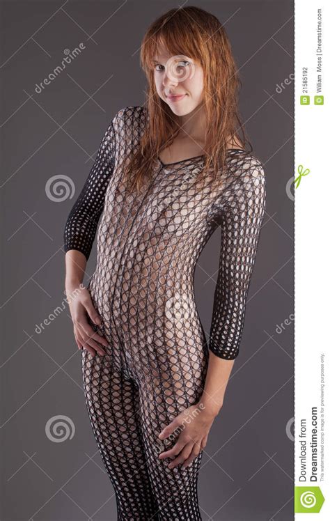 Pretty Woman In Fishnet Bodysuit Stock Photo Image Of Beautiful Long