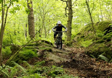 Five2Ride: Mountain Bike Trails in Sweden - Singletracks Mountain Bike News