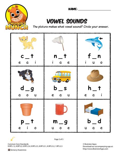 Vowel Sounds Phonics Worksheet