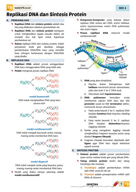 Replikasi Dna Dan Sistesis Protein Bio Materi Co Genetika