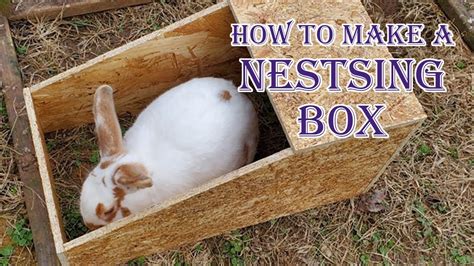 Making Rabbit Nesting Boxes Youtube