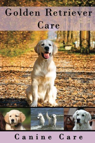 Buy Golden Retriever Care The Complete Guide To Caring For And Keeping