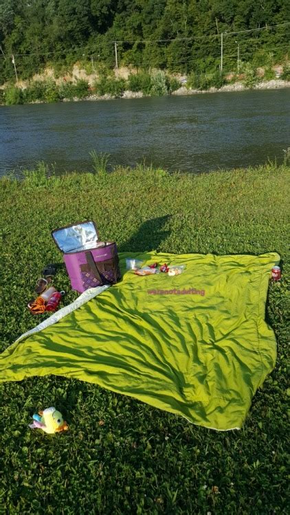 Werenotadulting Padded Picnic On The River Porn Photo Pics