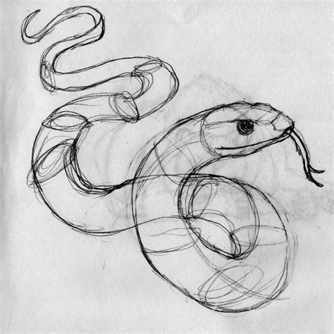 Rough Snake Sketch Snake Sketch Snake Art Snake Illustration