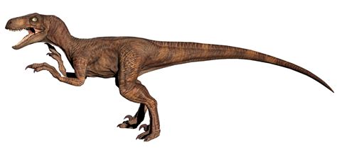 Velociraptor Jurassic Park Wiki Fandom