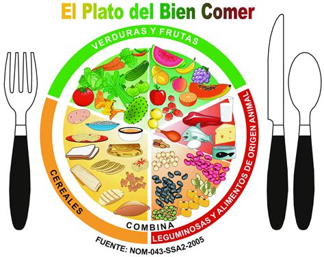 Actualizan El Plato Del Bien Comer Ahora Incluye Grasas Y Disminuye