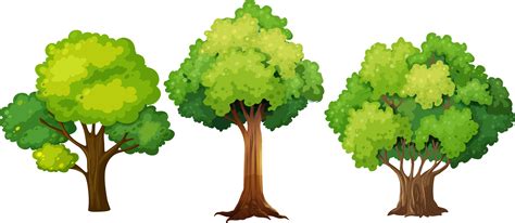 Cartoon Tree Silhouette Vector Art Icons And Graphics For Free Download