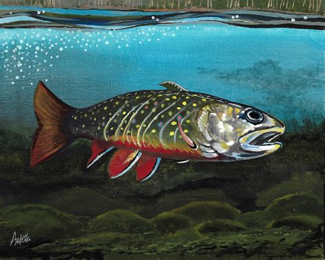 Wildlife Art Brook Trout Fishing Fish Painting Fly Fishing Etsy