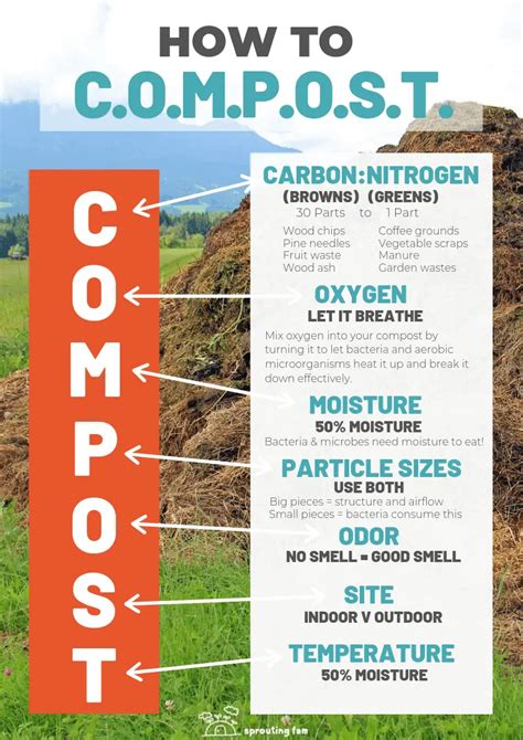 How To Start A Compost Pile Composting Infographic Pdf