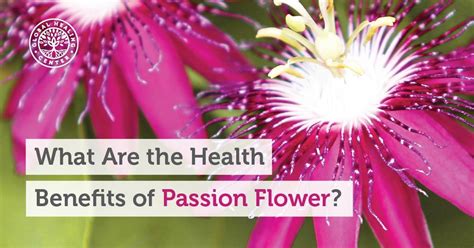 what are the health benefits of passion flower