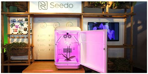 Seedo Promises 1st Automated Containerized Cannabis Farm In Israel