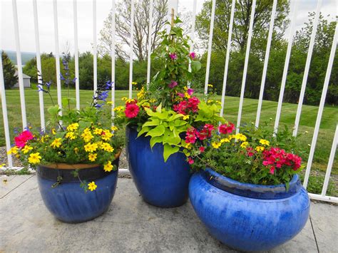 Pin By Vicky Myers On Containers I Created Container Gardening Plant