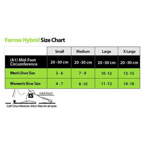 Hybrid Size Chart A Visual Reference Of Charts Chart Master