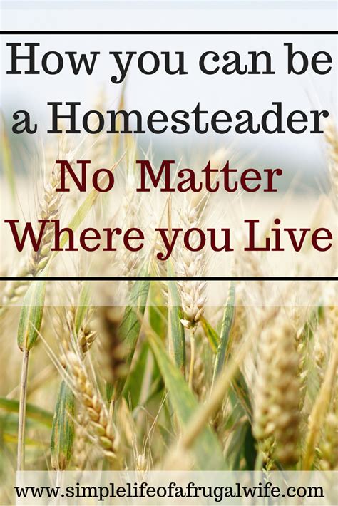 How To Homestead How To Become A Homesteader Homestead Wherever You