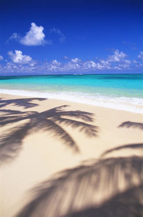 Tropical Beach Scene By Dana Edmunds Printscapes