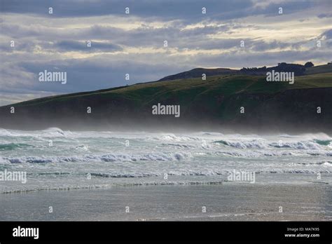 Sandfly Bay Otago Peninsula Dunedin New Zealand Stock Photo Alamy