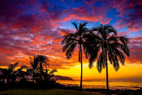 Tropical Sunset By Shane Myers