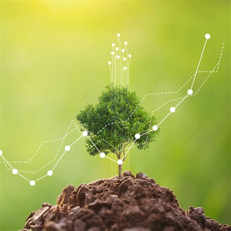 Sustentabilidade O Que é O Que Não é