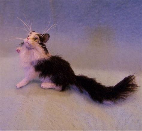 Silk Furred Fluffy Black And White Cat By Camille Meeker Turner From