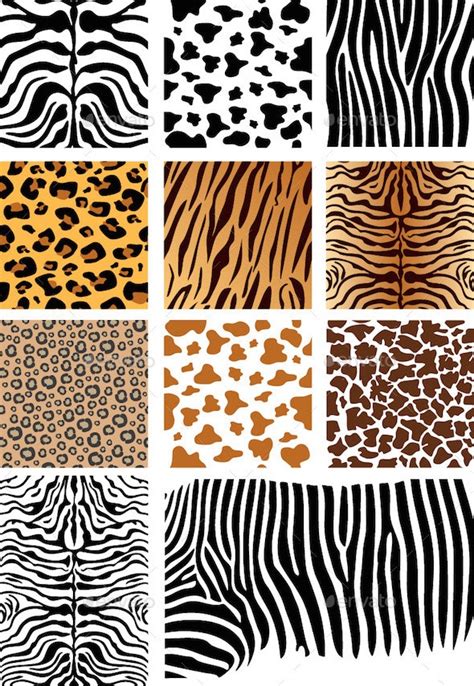 Animal Skin Patterns Vectors Graphicriver