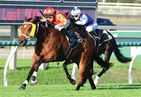 Horse Racings History In Australia Winning Edge Investments